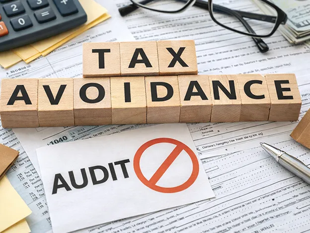 What is Tax Avoidance